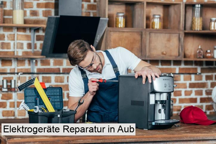 Elektrogeräte Reparatur in Aub